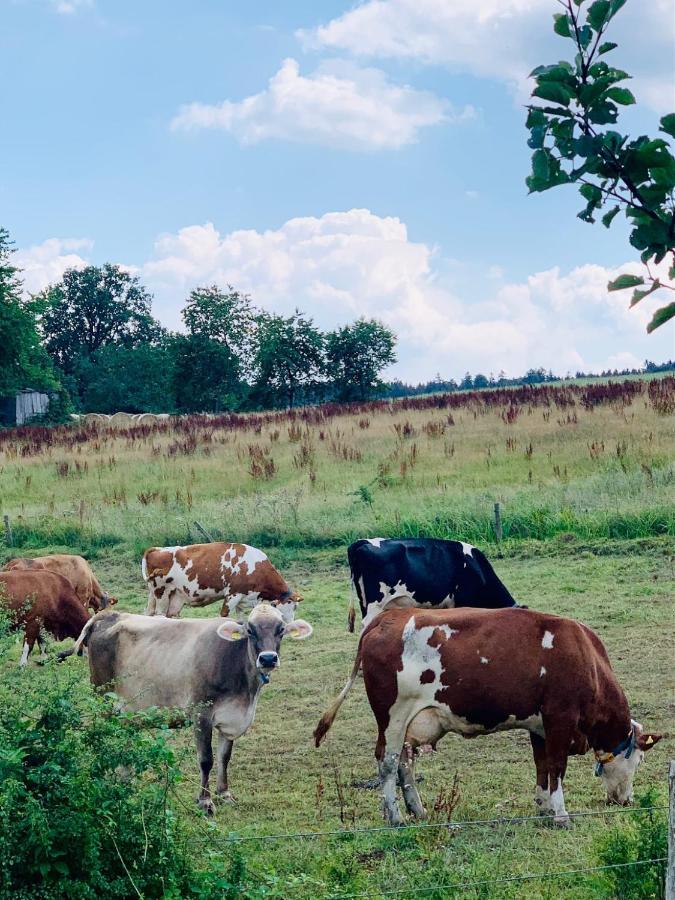 Nibelungen Odenwaldhaus Villa Mossautal Dış mekan fotoğraf