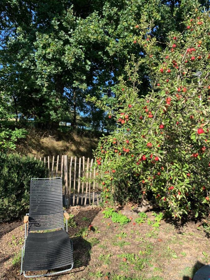 Nibelungen Odenwaldhaus Villa Mossautal Dış mekan fotoğraf
