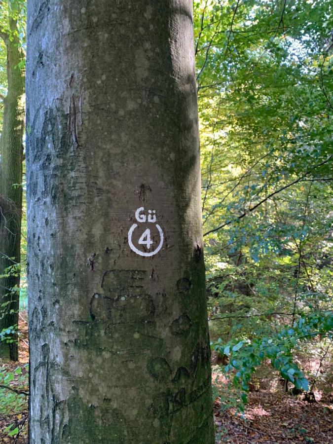 Nibelungen Odenwaldhaus Villa Mossautal Dış mekan fotoğraf